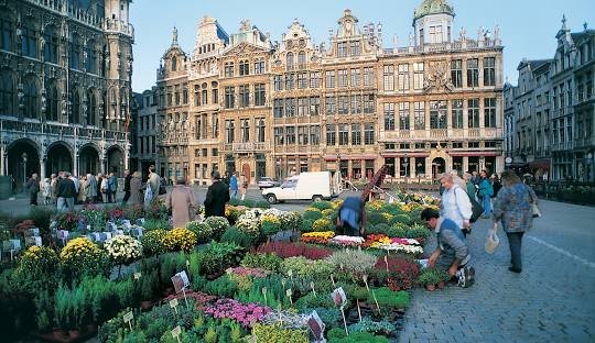 Best Places to obtain cocaine in Brussels, belgium