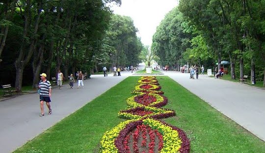 Best Places to Find Cocaine in Varna, Bulgaria