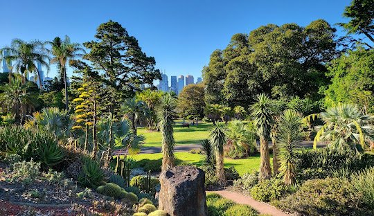 the best places to get cocaine or drugs in Melbourne 2025