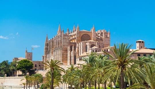Get cocaine in Palma spain 2026