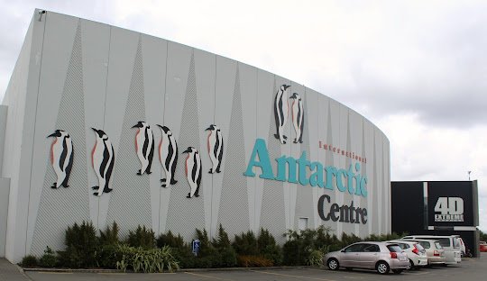 Discovering Cocaine in Christchurch, New Zealand (2026)