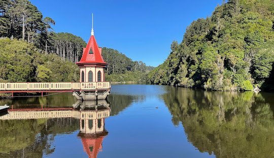Discovering cocaine in Wellington, New Zealand (2026)