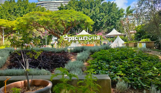 Getting cocaine in Brisbane Australia 2026